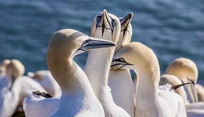 如何办理网站建设资质（建设网站需要申请什么）