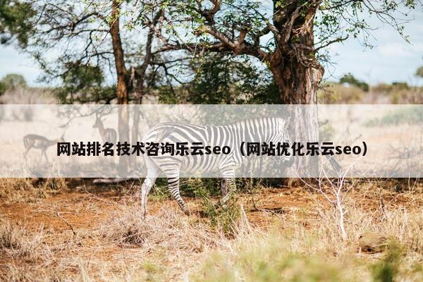 网站排名技术咨询乐云seo（网站优化乐云seo）