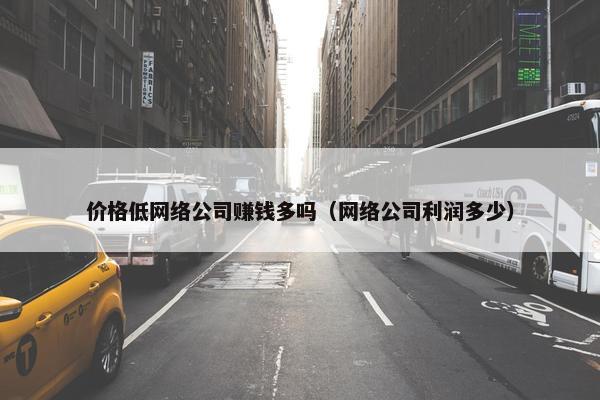 价格低网络公司赚钱多吗（网络公司利润多少）