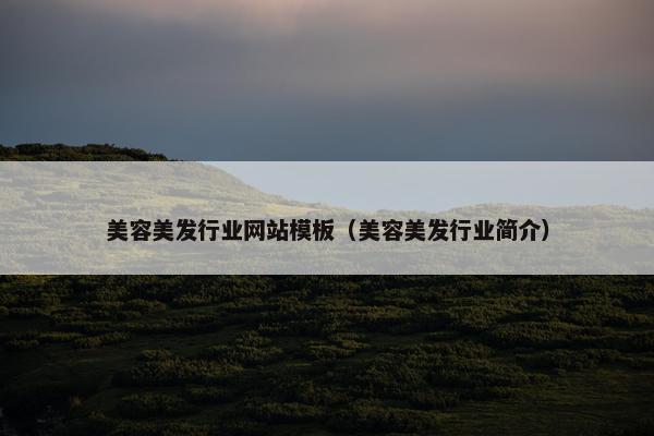 美容美发行业网站模板（美容美发行业简介）