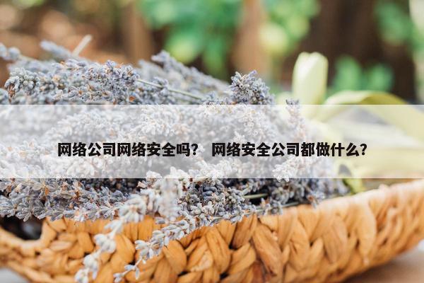网络公司网络安全吗？ 网络安全公司都做什么？