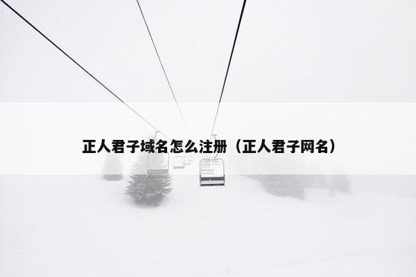 正人君子域名怎么注册（正人君子网名）