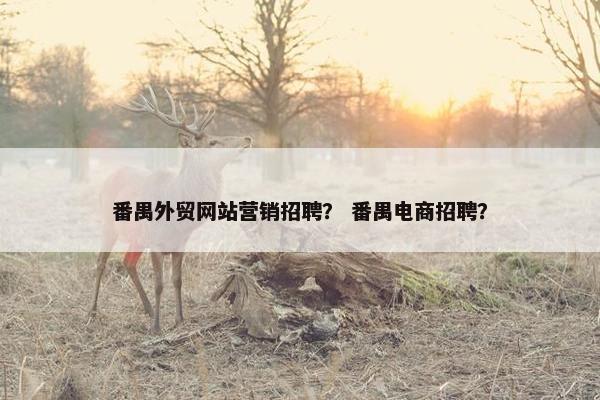 番禺外贸网站营销招聘？ 番禺电商招聘？