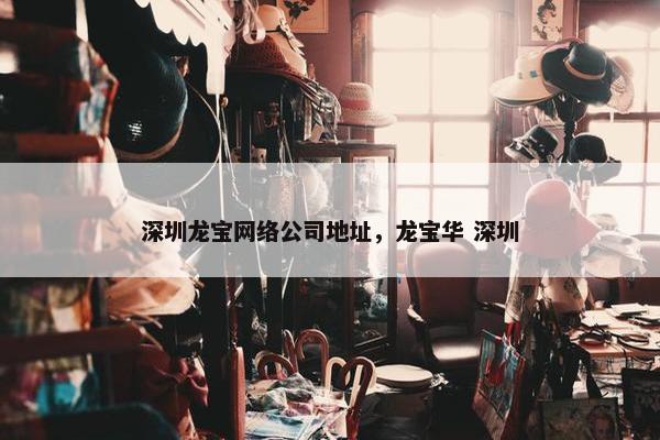 深圳龙宝网络公司地址，龙宝华 深圳