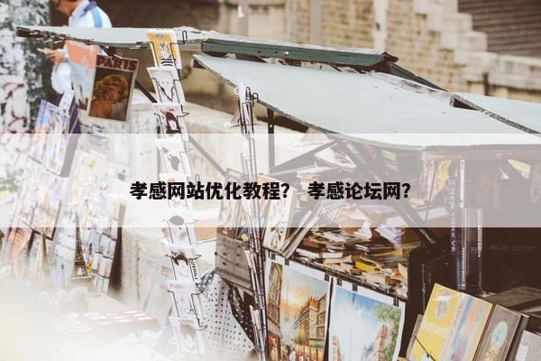 孝感网站优化教程？ 孝感论坛网？