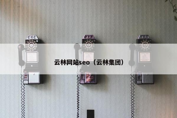 云林网站seo（云林集团）