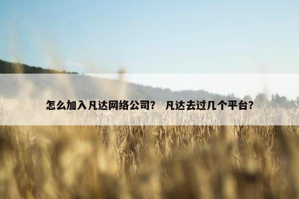 怎么加入凡达网络公司？ 凡达去过几个平台？