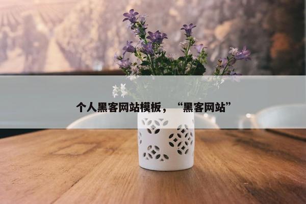 个人黑客网站模板，“黑客网站”