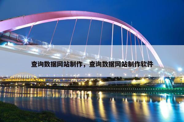 查询数据网站制作，查询数据网站制作软件