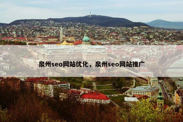 泉州seo网站优化，泉州seo网站推广