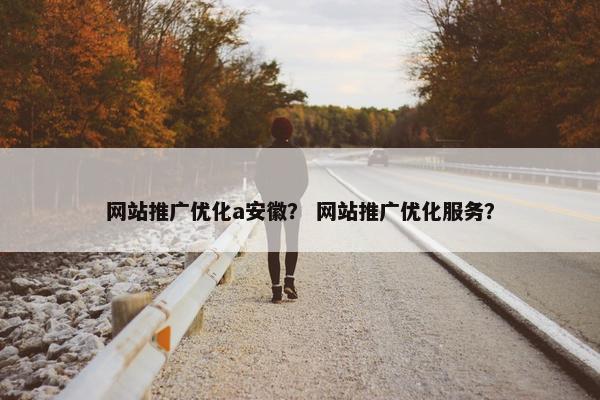 网站推广优化a安徽？ 网站推广优化服务？