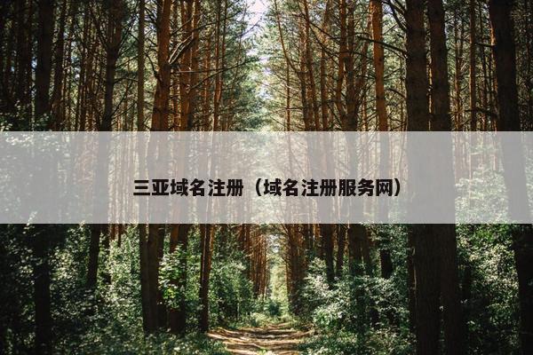 三亚域名注册（域名注册服务网）