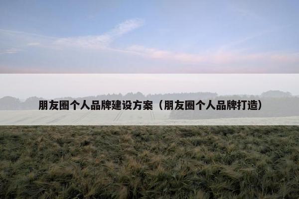 朋友圈个人品牌建设方案（朋友圈个人品牌打造）