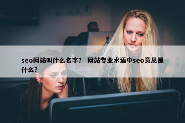 seo网站叫什么名字？ 网站专业术语中seo意思是什么？