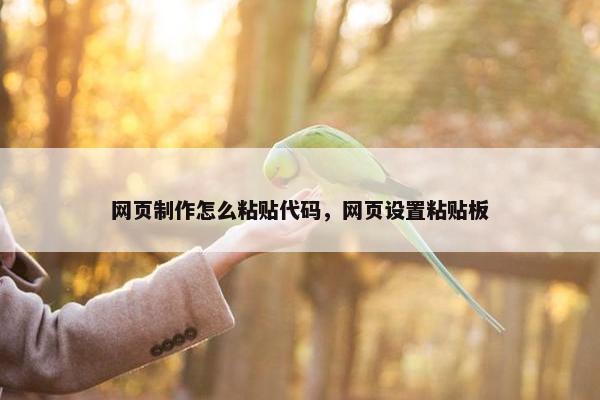 网页制作怎么粘贴代码，网页设置粘贴板