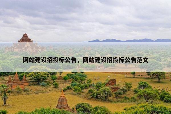 网站建设招投标公告，网站建设招投标公告范文
