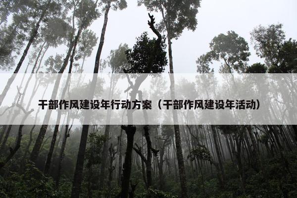 干部作风建设年行动方案（干部作风建设年活动）