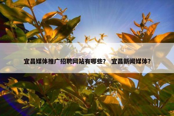 宜昌媒体推广招聘网站有哪些？ 宜昌新闻媒体？