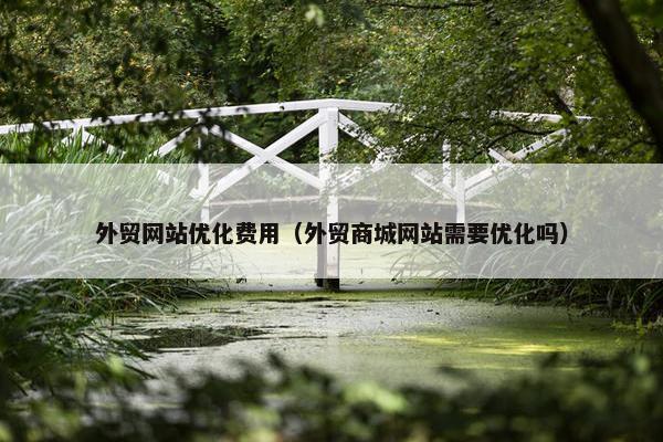 外贸网站优化费用（外贸商城网站需要优化吗）