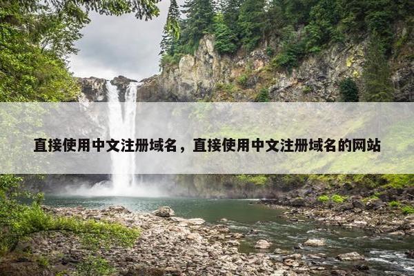 直接使用中文注册域名，直接使用中文注册域名的网站