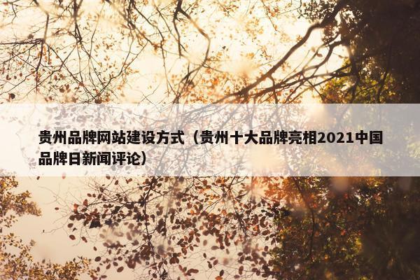 贵州品牌网站建设方式（贵州十大品牌亮相2021中国品牌日新闻评论）