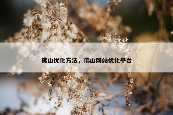 佛山优化方法，佛山网站优化平台