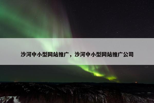 沙河中小型网站推广，沙河中小型网站推广公司