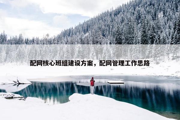 配网核心班组建设方案，配网管理工作思路