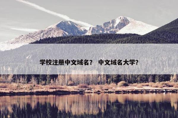 学校注册中文域名？ 中文域名大学？