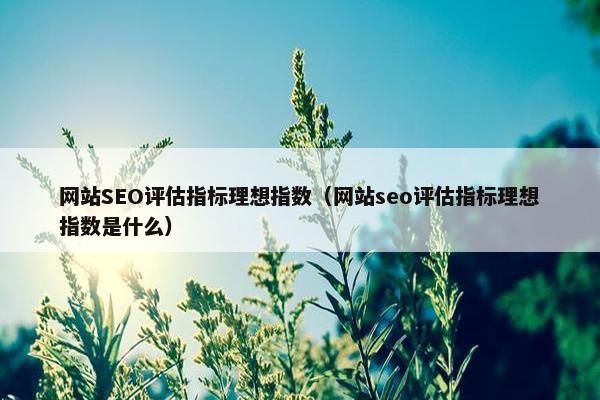网站SEO评估指标理想指数（网站seo评估指标理想指数是什么）