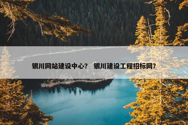 银川网站建设中心？ 银川建设工程招标网？