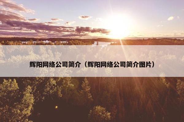 辉阳网络公司简介（辉阳网络公司简介图片）