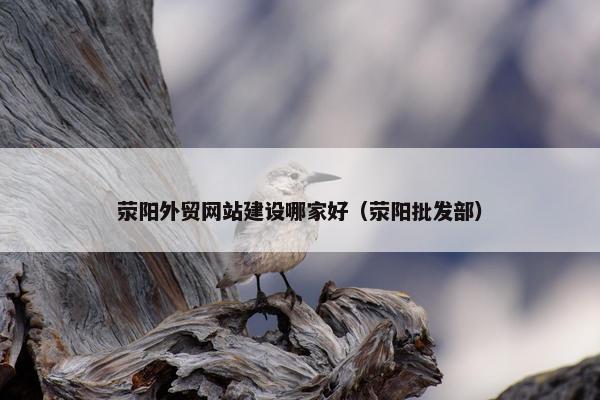 荥阳外贸网站建设哪家好（荥阳批发部）