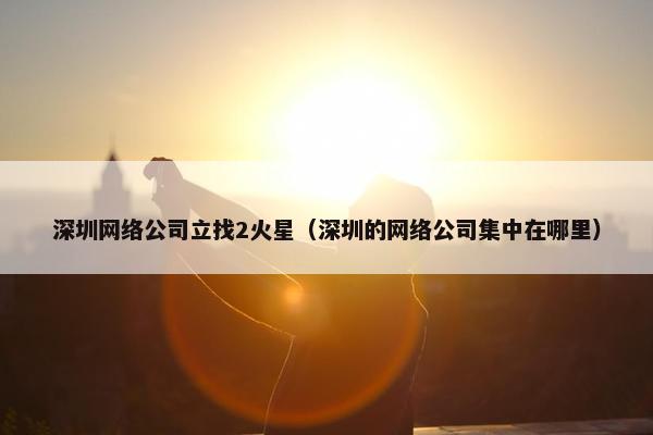 深圳网络公司立找2火星（深圳的网络公司集中在哪里）