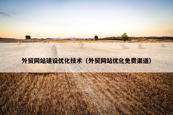 外贸网站建设优化技术（外贸网站优化免费渠道）