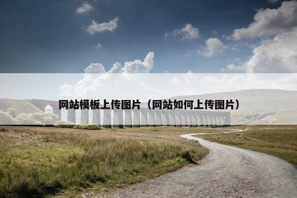 网站模板上传图片（网站如何上传图片）