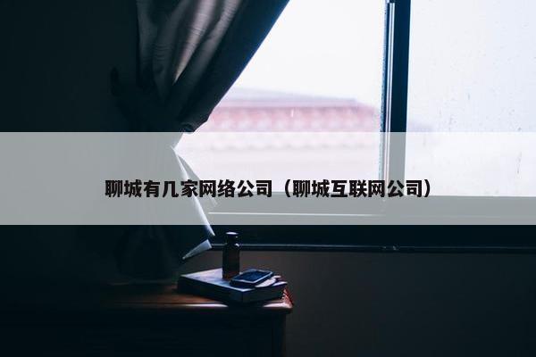 聊城有几家网络公司（聊城互联网公司）