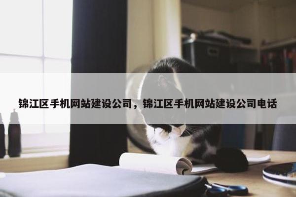 锦江区手机网站建设公司，锦江区手机网站建设公司电话