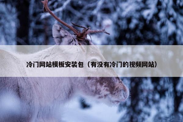 冷门网站模板安装包（有没有冷门的视频网站）