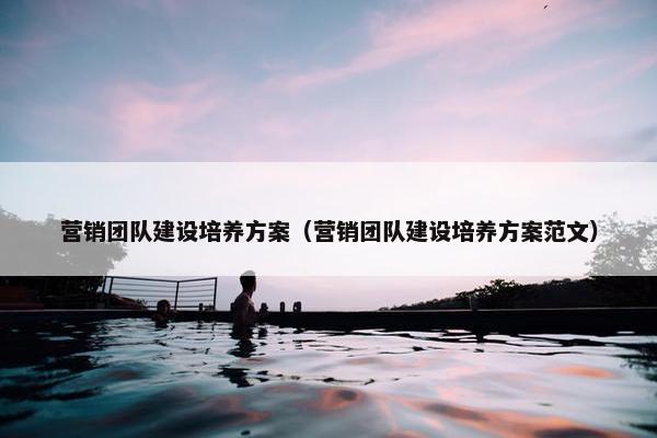 营销团队建设培养方案（营销团队建设培养方案范文）