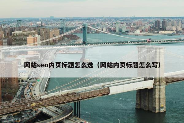网站seo内页标题怎么选（网站内页标题怎么写）
