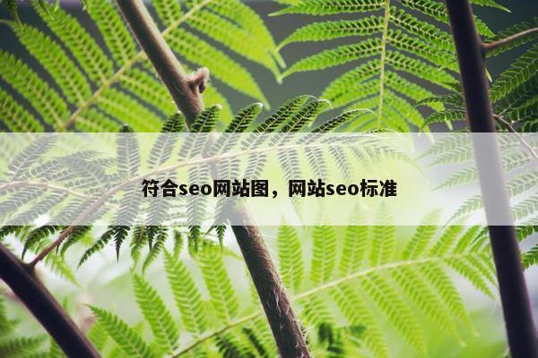 符合seo网站图，网站seo标准