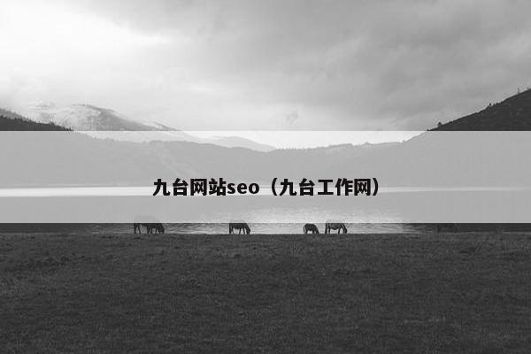 九台网站seo（九台工作网）
