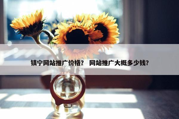 镇宁网站推广价格？ 网站推广大概多少钱？