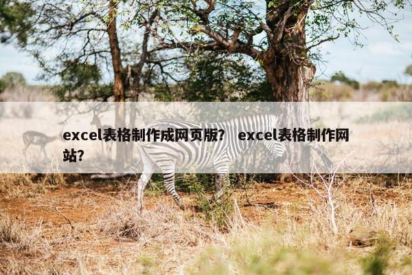 excel表格制作成网页版？ excel表格制作网站？