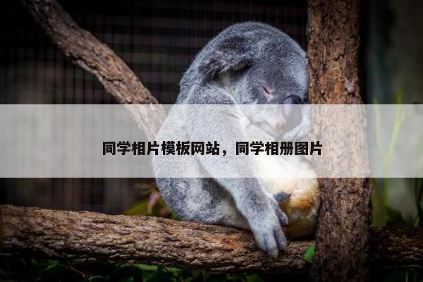 同学相片模板网站，同学相册图片