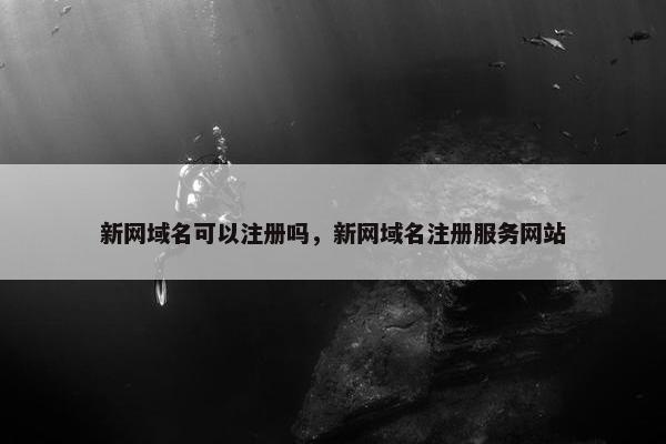 新网域名可以注册吗，新网域名注册服务网站