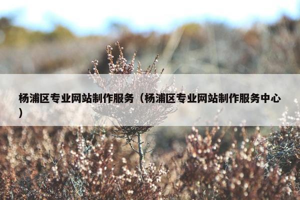 杨浦区专业网站制作服务（杨浦区专业网站制作服务中心）