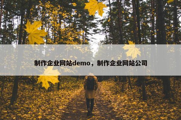 制作企业网站demo，制作企业网站公司