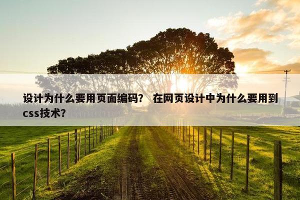 设计为什么要用页面编码？ 在网页设计中为什么要用到css技术？